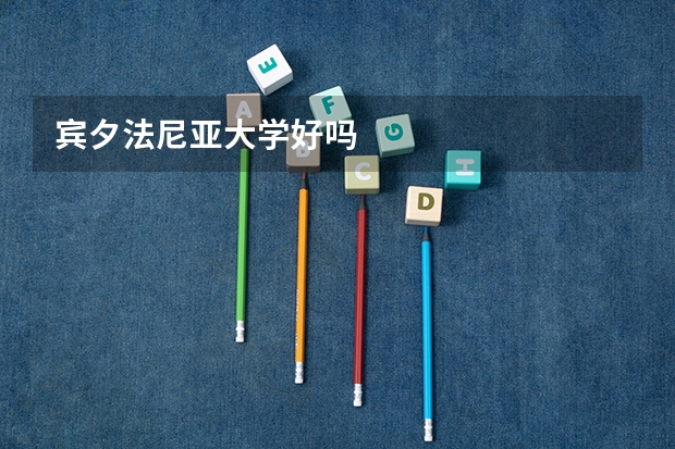 宾夕法尼亚大学好吗