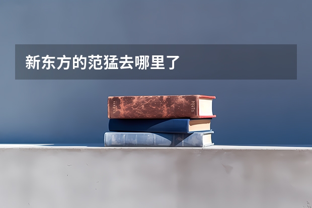 新东方的范猛去哪里了
