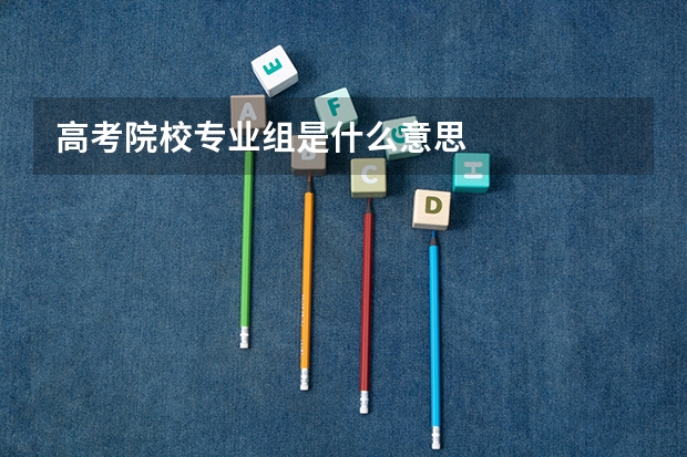 高考院校专业组是什么意思