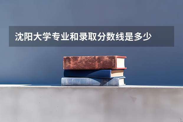 沈阳大学专业和录取分数线是多少