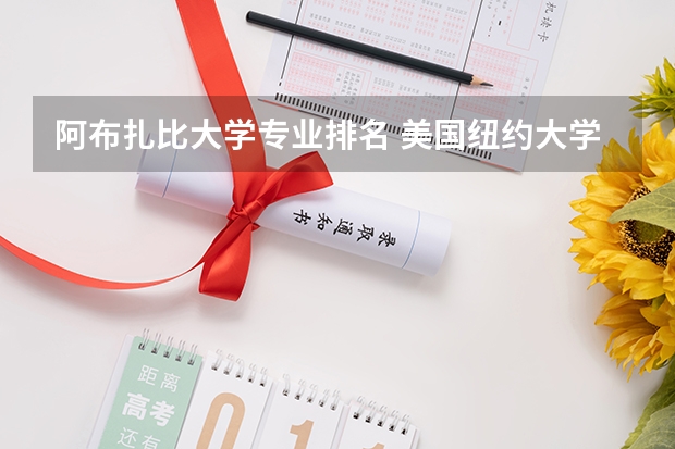 阿布扎比大学专业排名 美国纽约大学阿布扎比分校概况及申请要求介绍