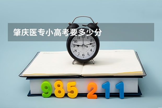 肇庆医专小高考要多少分