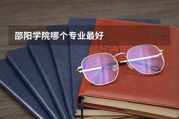 邵阳学院哪个专业最好