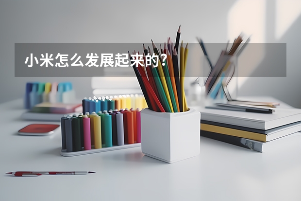 小米怎么发展起来的?