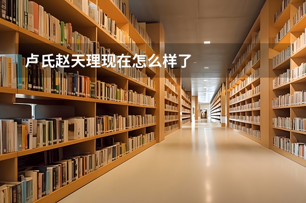 卢氏赵天理现在怎么样了