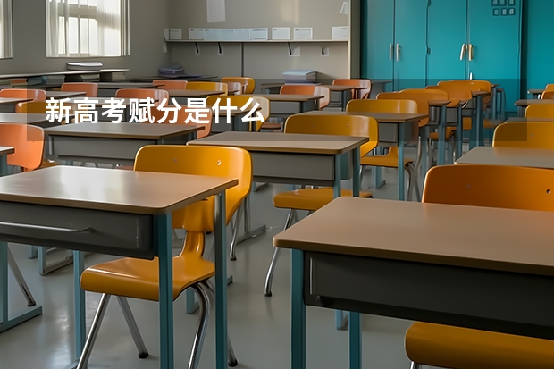 新高考赋分是什么
