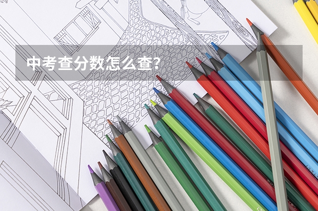 中考查分数怎么查？