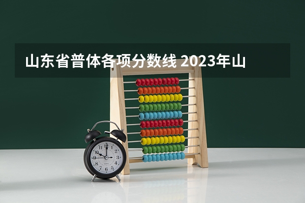 山东省普体各项分数线 2023年山东高考体育分数标准