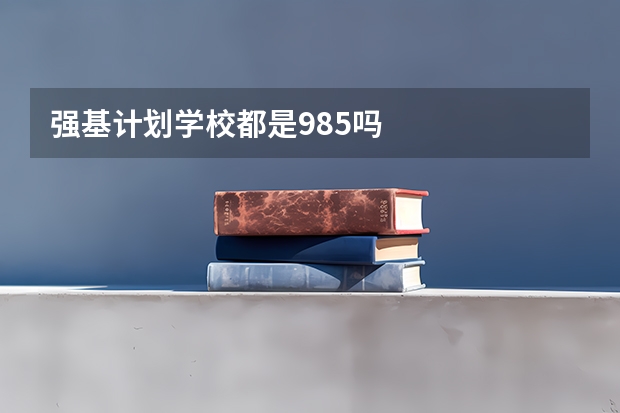 强基计划学校都是985吗