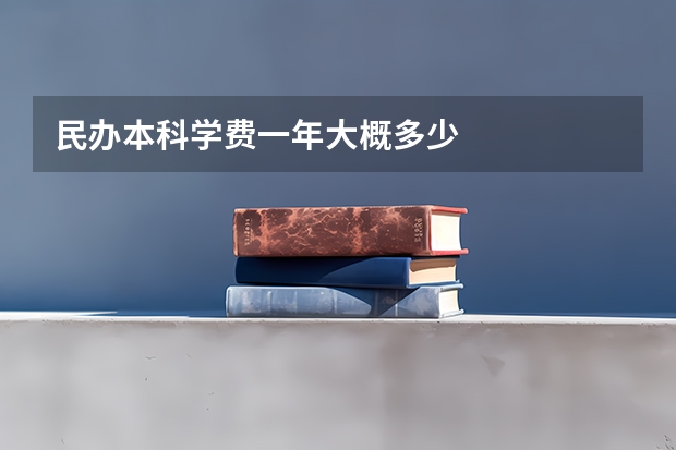 民办本科学费一年大概多少