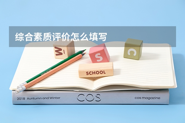 综合素质评价怎么填写