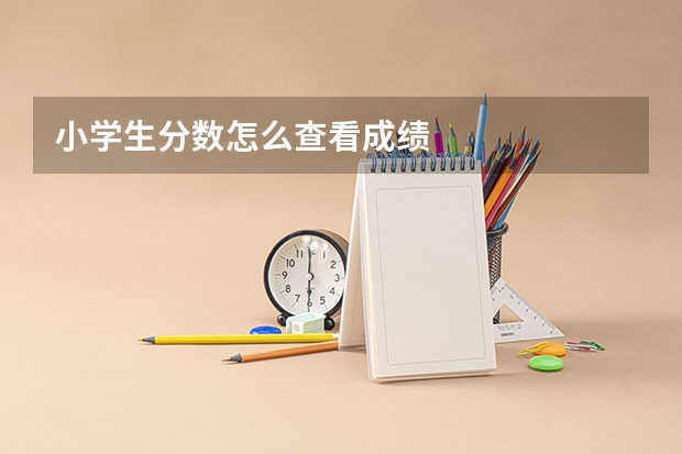 小学生分数怎么查看成绩
