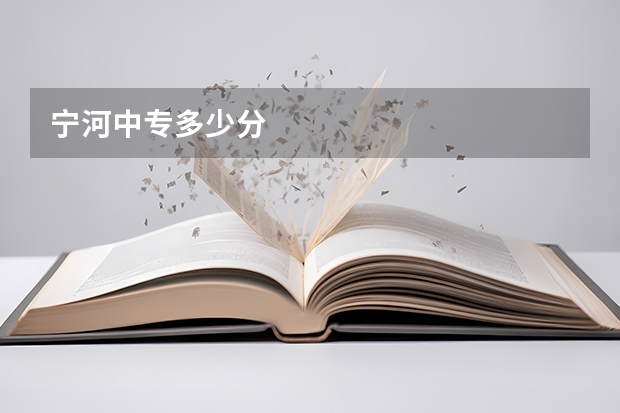 宁河中专多少分