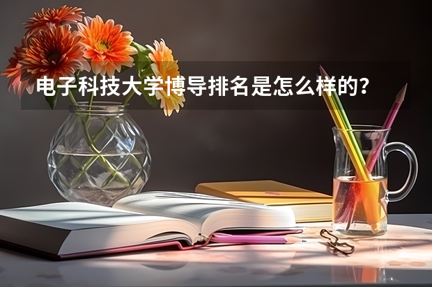 电子科技大学博导排名是怎么样的？