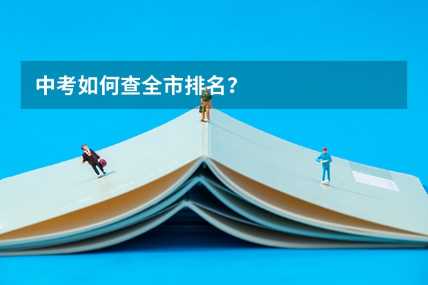 中考如何查全市排名？