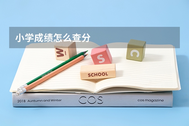 小学成绩怎么查分