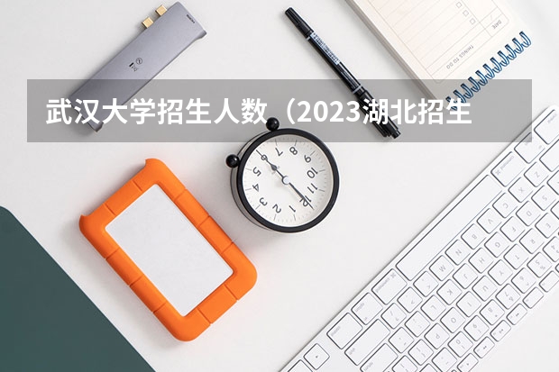 武汉大学招生人数（2023湖北招生人数）
