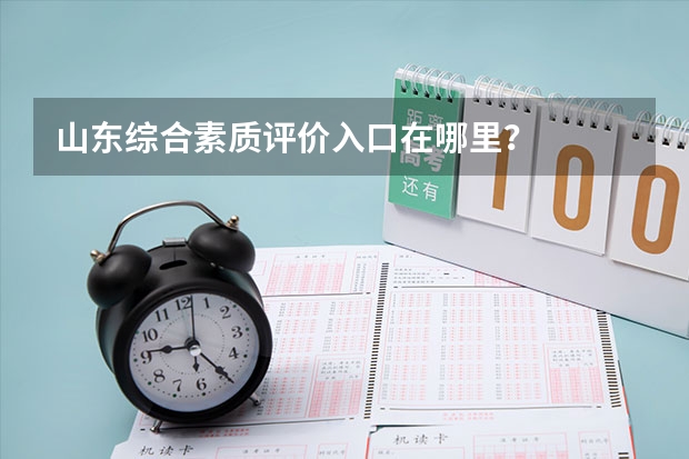 山东综合素质评价入口在哪里？