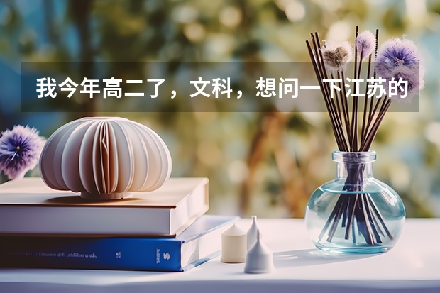 我今年高二了，文科，想问一下江苏的最好在南京，二本大学好一点的有哪些？