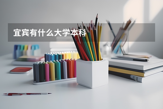 宜宾有什么大学本科