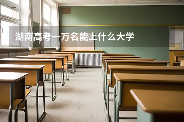 湖南高考一万名能上什么大学
