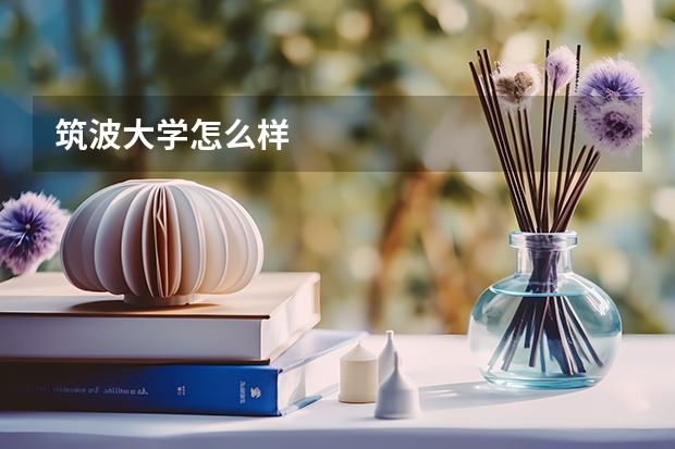 筑波大学怎么样