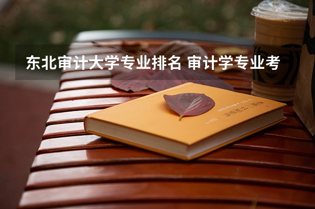 东北审计大学专业排名 审计学专业考研院校排名