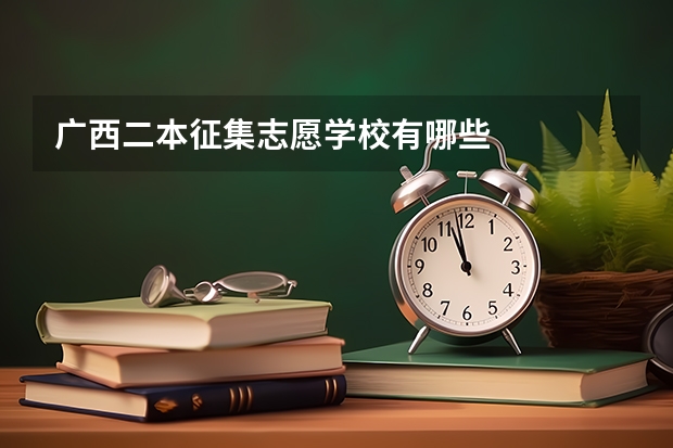 广西二本征集志愿学校有哪些