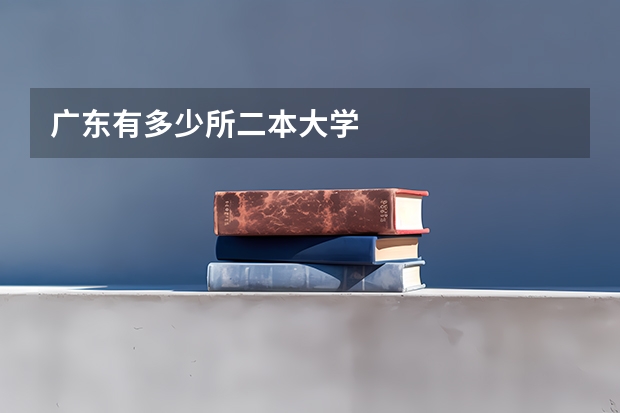 广东有多少所二本大学