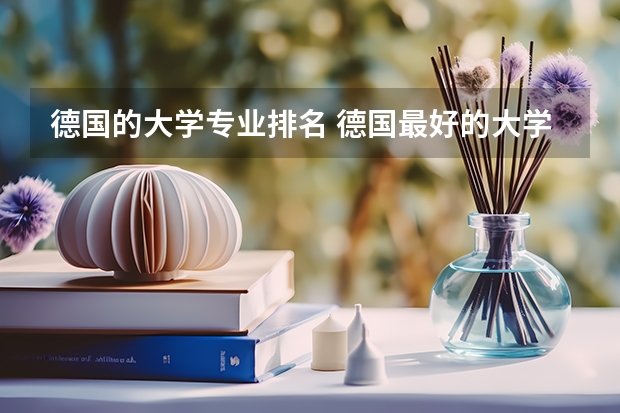 德国的大学专业排名 德国最好的大学？