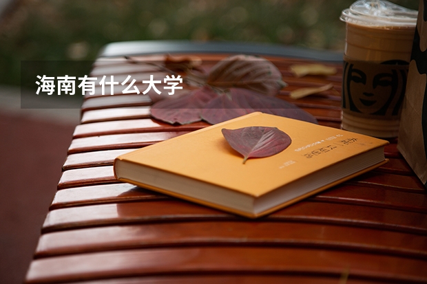海南有什么大学