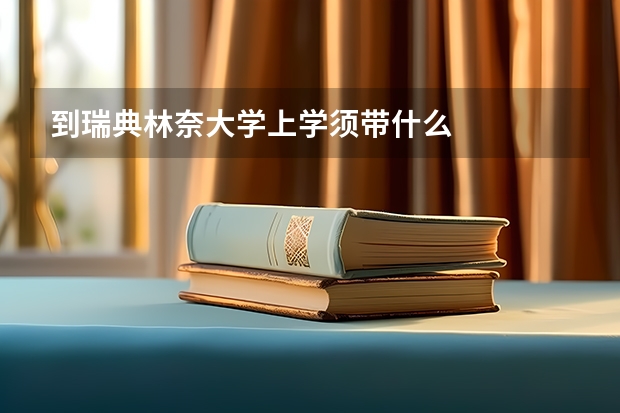 到瑞典林奈大学上学须带什么