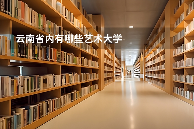 云南省内有哪些艺术大学