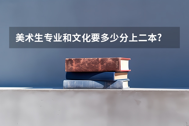 美术生专业和文化要多少分上二本?