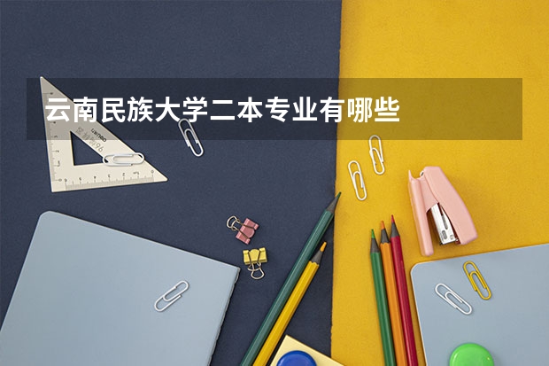 云南民族大学二本专业有哪些