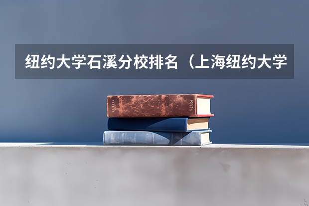 纽约大学石溪分校排名（上海纽约大学世界排名？）
