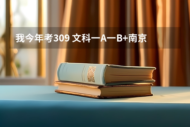 我今年考309 文科一A一B+南京工业大学浦江学院三本有什么专业可以上