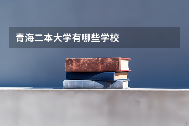 青海二本大学有哪些学校