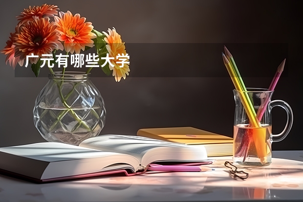 广元有哪些大学