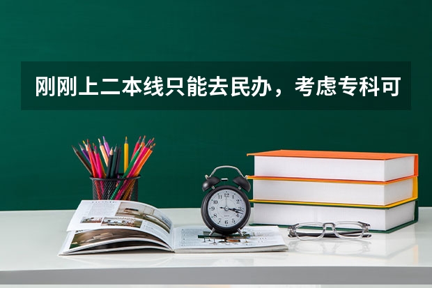 刚刚上二本线只能去民办，考虑专科可以吗