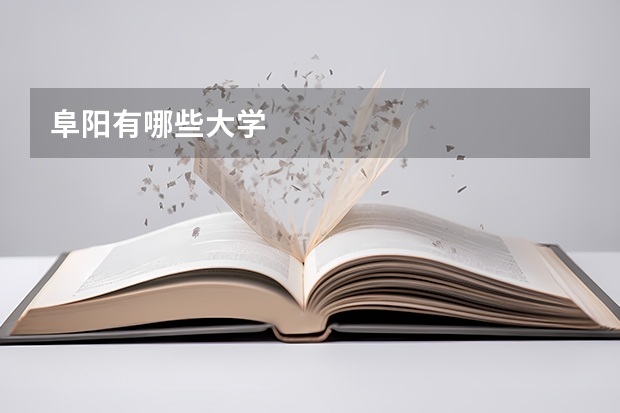 阜阳有哪些大学