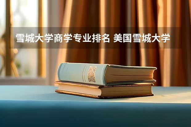雪城大学商学专业排名 美国雪城大学相当于国内的哪个大学?