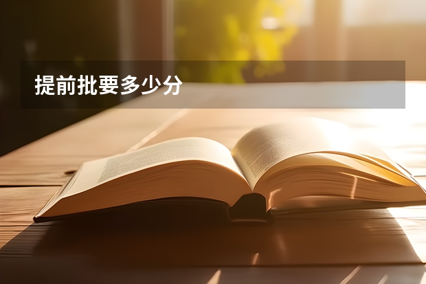 提前批要多少分