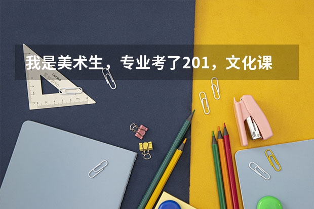 我是美术生，专业考了201，文化课310，请问可以上山东省内什么专科学校？要公办的