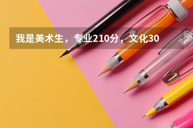 我是美术生，专业210分，文化300左右，能上的本科吗？