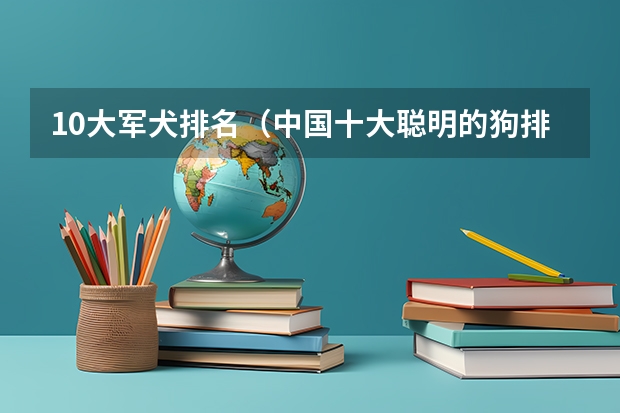 10大军犬排名（中国十大聪明的狗排名）