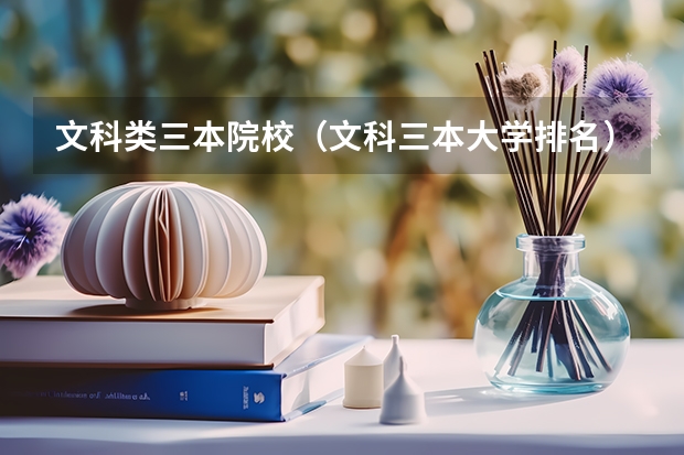 文科类三本院校(文科三本大学排名)