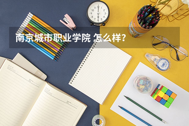 南京城市职业学院 怎么样？