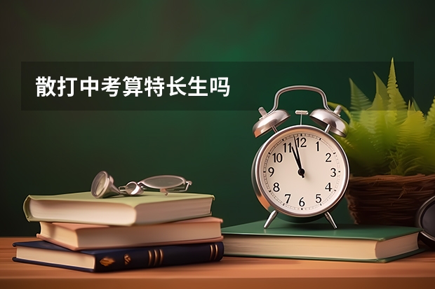 散打中考算特长生吗