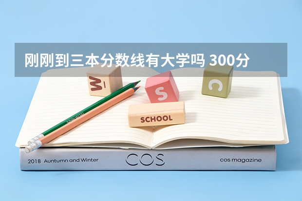 刚刚到三本分数线有大学吗 300分左右的三本大学